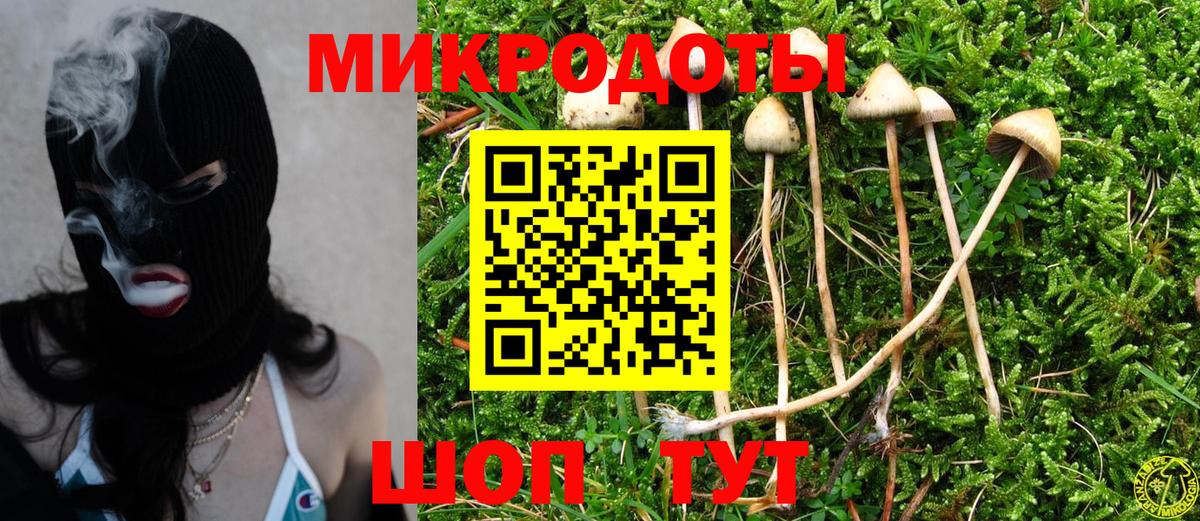Галлюциногенные грибы Magic Shrooms Красноармейск