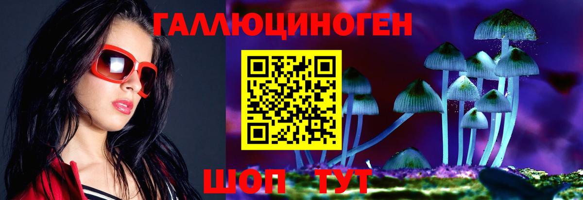 Красноармейск  Псилоцибиновые грибы MAGIC MUSHROOMS  где можно купить   Вход с VPN 